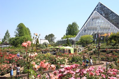 🌸 오사카부립 꽃의 문화원(오사카후리츠 하나노분카엔) 이미지 2